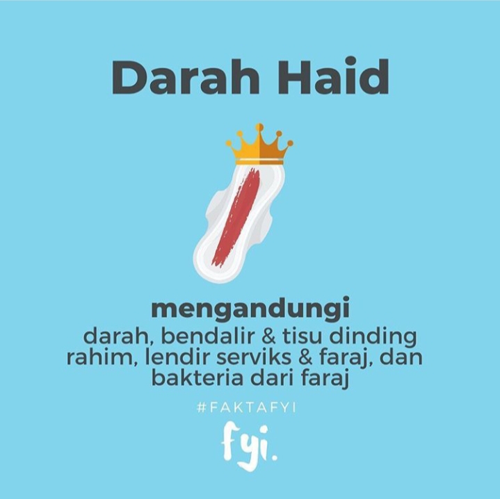 WhatsApp Image 2020-11-03 at 15.11.36